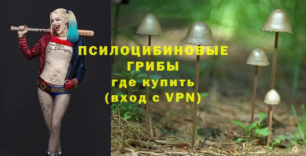 мет Приозерск