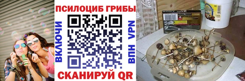 что такое   Красный Кут  hydra сайт  Псилоцибиновые грибы GOLDEN TEACHER 